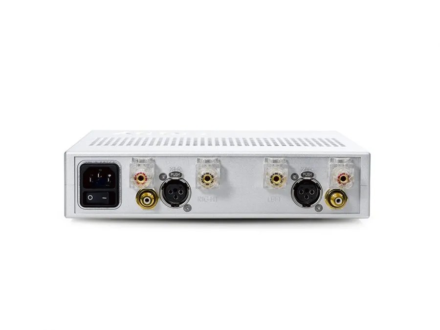 Rear of the silver TToby: the IEC mains inlet and its rocker switch, then per channel a gold RCA input, a balanced XLR input and a pair of clear-bodied binding posts, marked RIGHT and LEFT